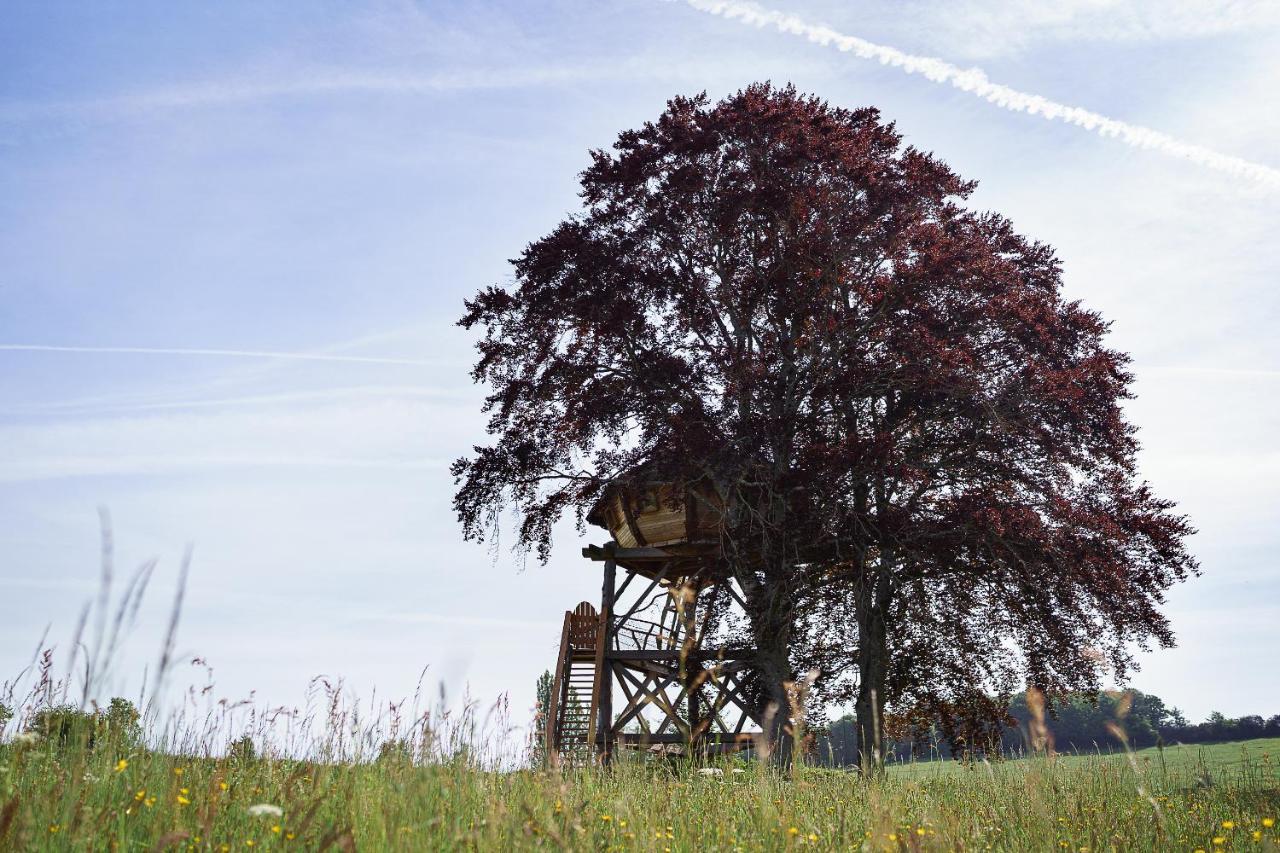 Cabane Perchée dans les Arbres Saint-Hilaire-en-Morvan Exterior foto