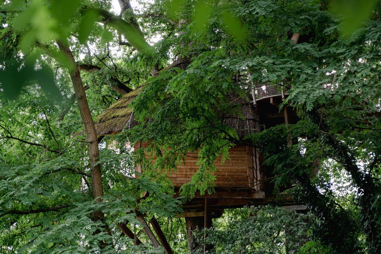 Cabane Perchée dans les Arbres Saint-Hilaire-en-Morvan Exterior foto